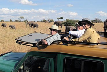 Professionally Guided Safaris In Kenya 