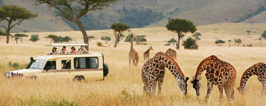 Why Should You Go For Serengeti National Park Tour Packages?